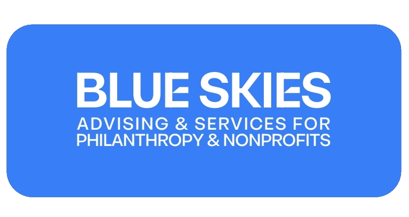 Blue Skies Advising logo. White letters on bright blue background